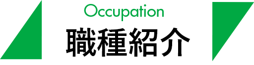 Occupation 職種紹介